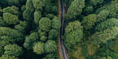 Aerial view of a winding road through a forest representing the roadmap for B2B e-invoicing implementation in Germany