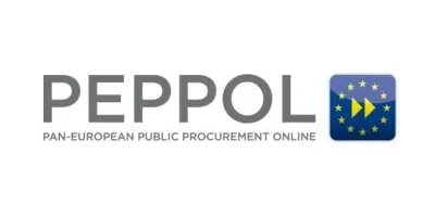 Germany B2B eInvoicing | PEPPOL Integration & SAP Solutions by Code10